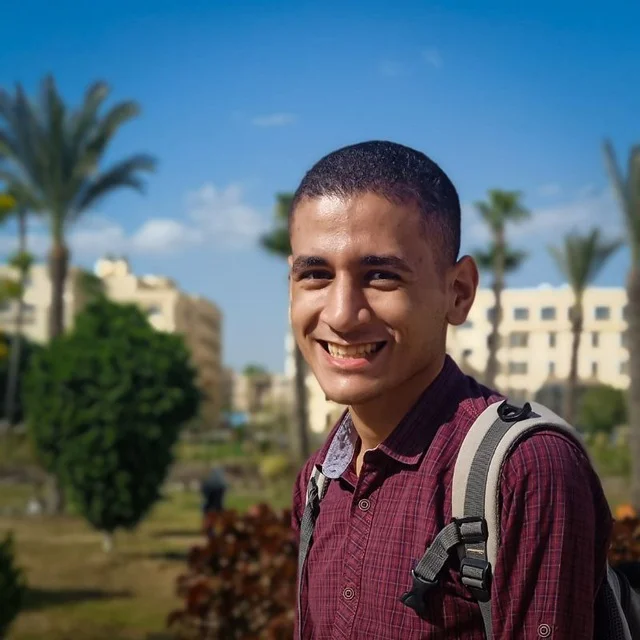 Front developer image